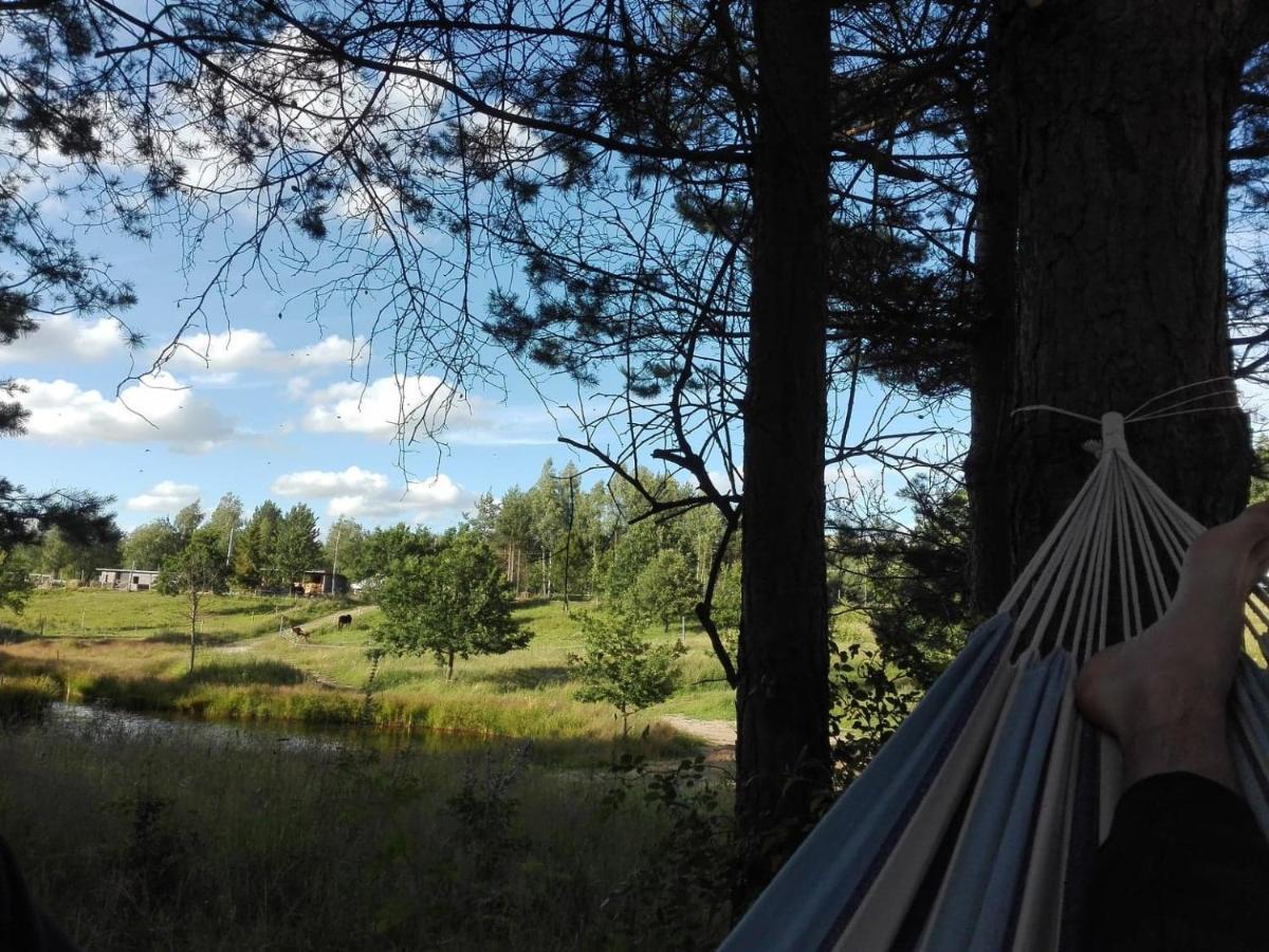 Koziula - Domki I Lesne Spa Na Kaszubach Przywidz  Luaran gambar