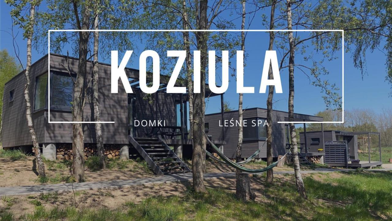 Koziula - Domki I Lesne Spa Na Kaszubach Przywidz  Luaran gambar