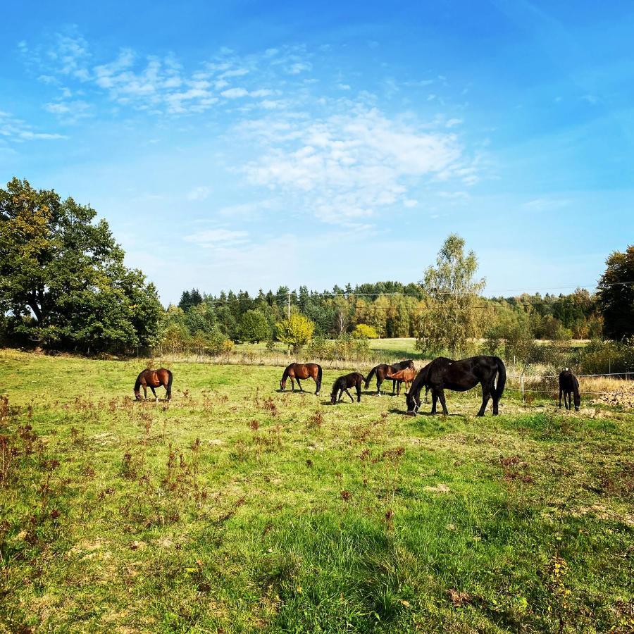 Koziula - Domki I Lesne Spa Na Kaszubach Przywidz  Luaran gambar