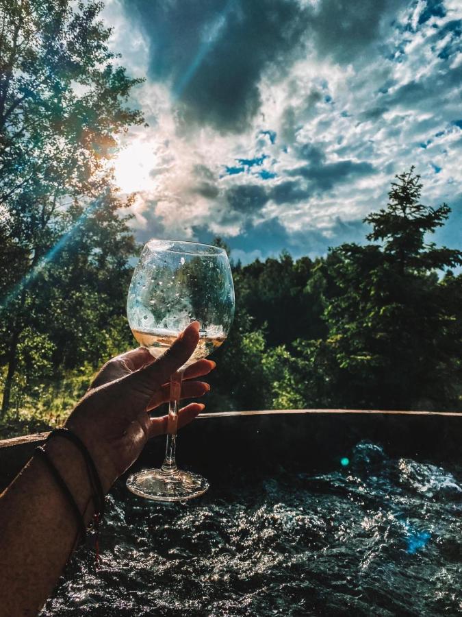 Koziula - Domki I Lesne Spa Na Kaszubach Przywidz  Luaran gambar