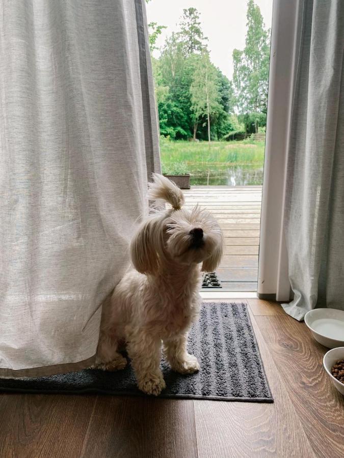 Koziula - Domki I Lesne Spa Na Kaszubach Przywidz  Luaran gambar