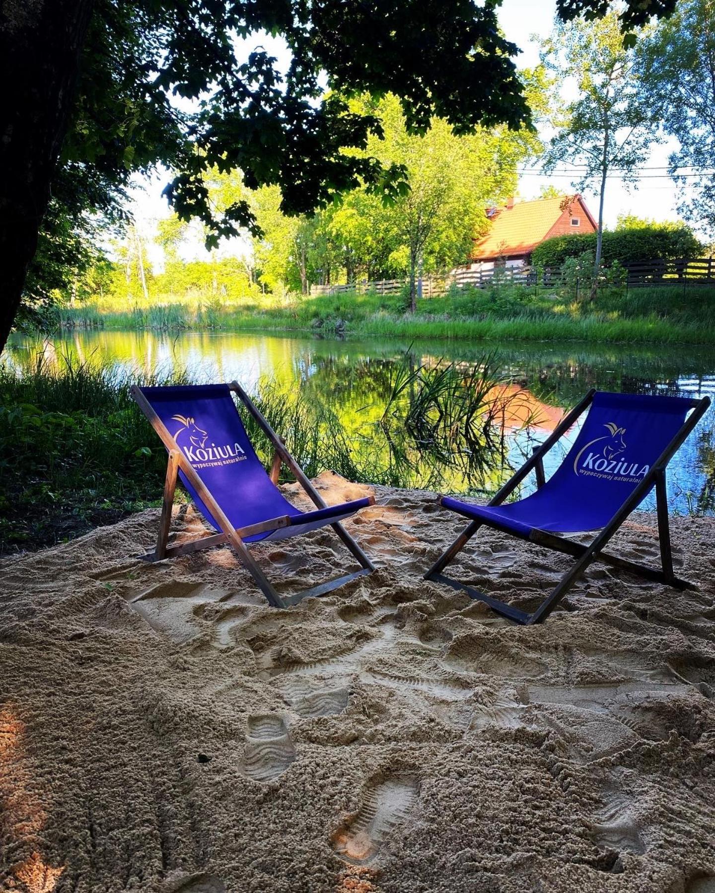 Koziula - Domki I Lesne Spa Na Kaszubach Przywidz  Luaran gambar